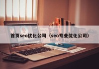 首页seo优化公司（seo专业优化公司）